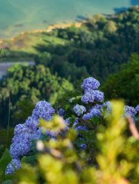 rui-silvestre-0m-egh5Gcl0-unsplash-768x511